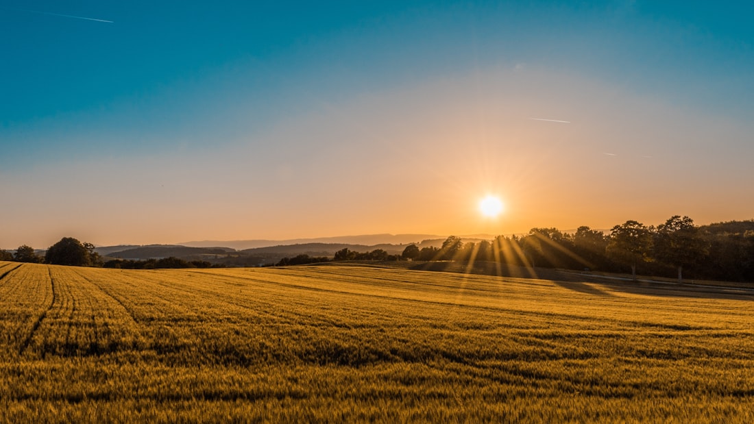 Commercially zoned land parcel